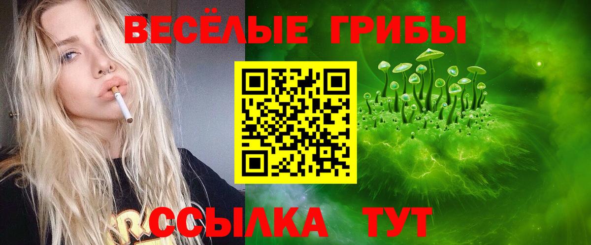 Галлюциногенные грибы MAGIC MUSHROOMS Чехов